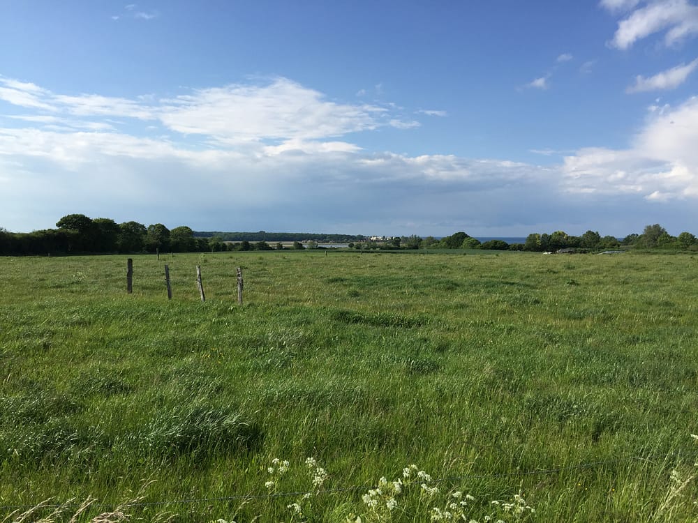 Hohwachter Wiesen